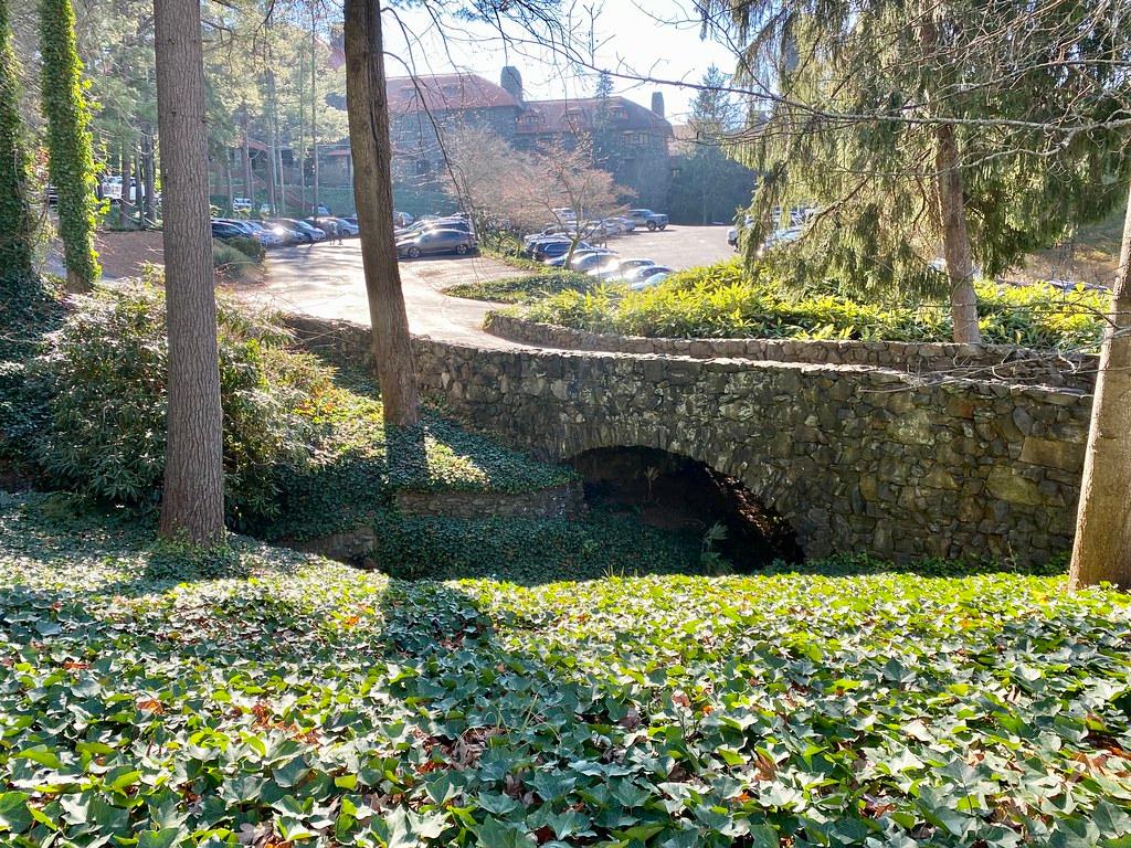 Springs Preserve: A Museum and Botanical Garden in the City